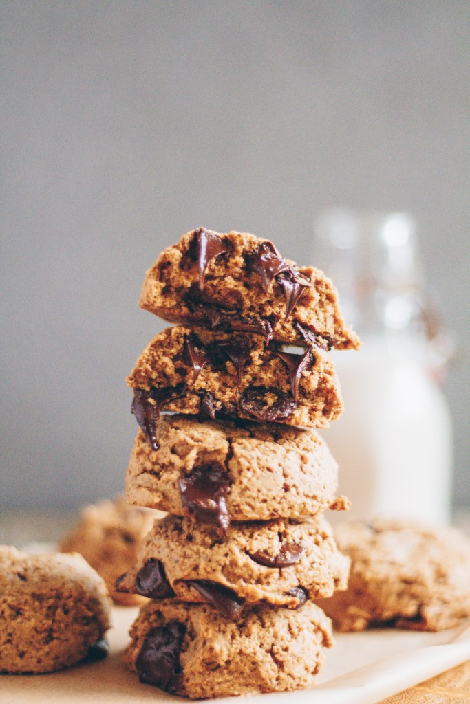 chocolate chip ginger molasses cookies