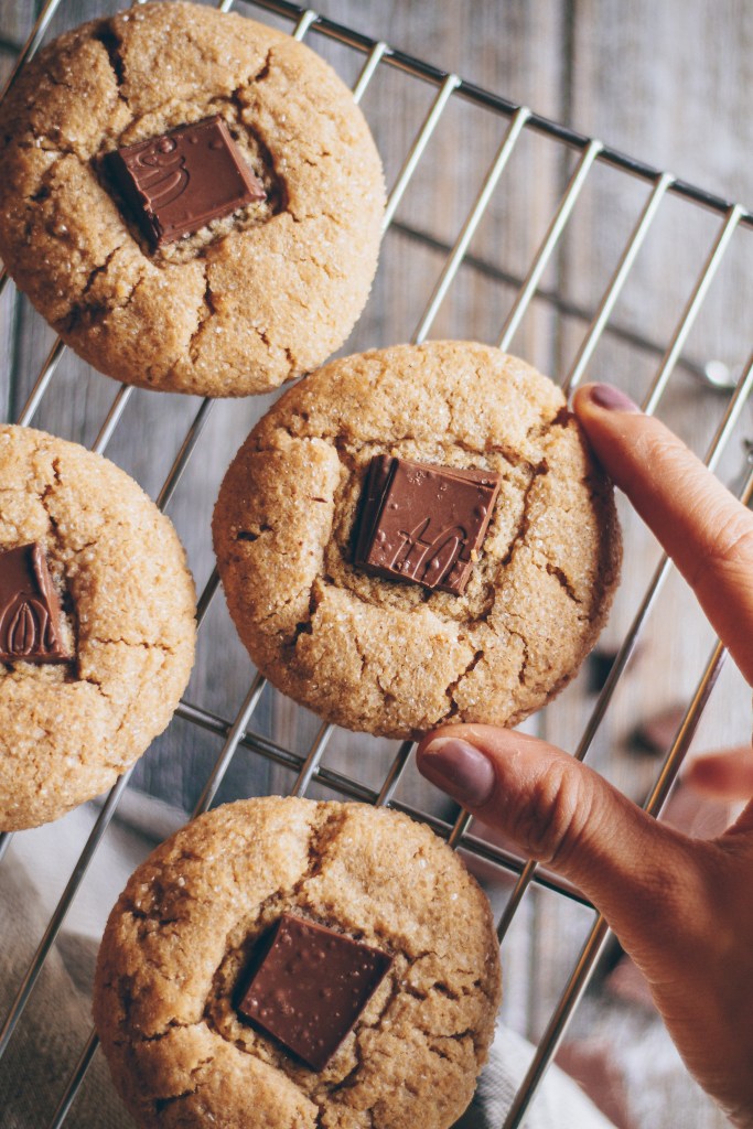 chocolate peanut butter cookies 