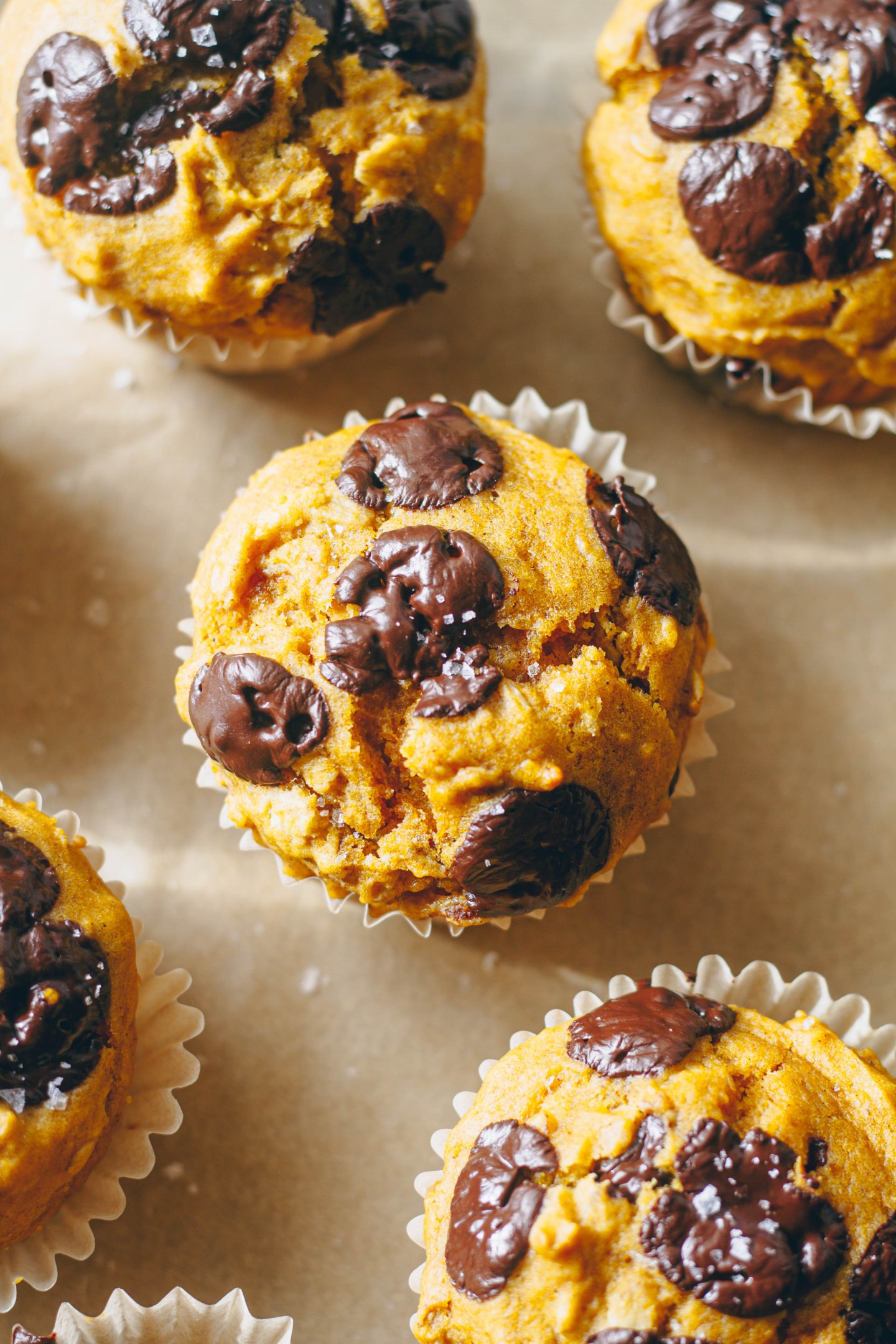 Vegan Pumpkin Chocolate Chip Muffins