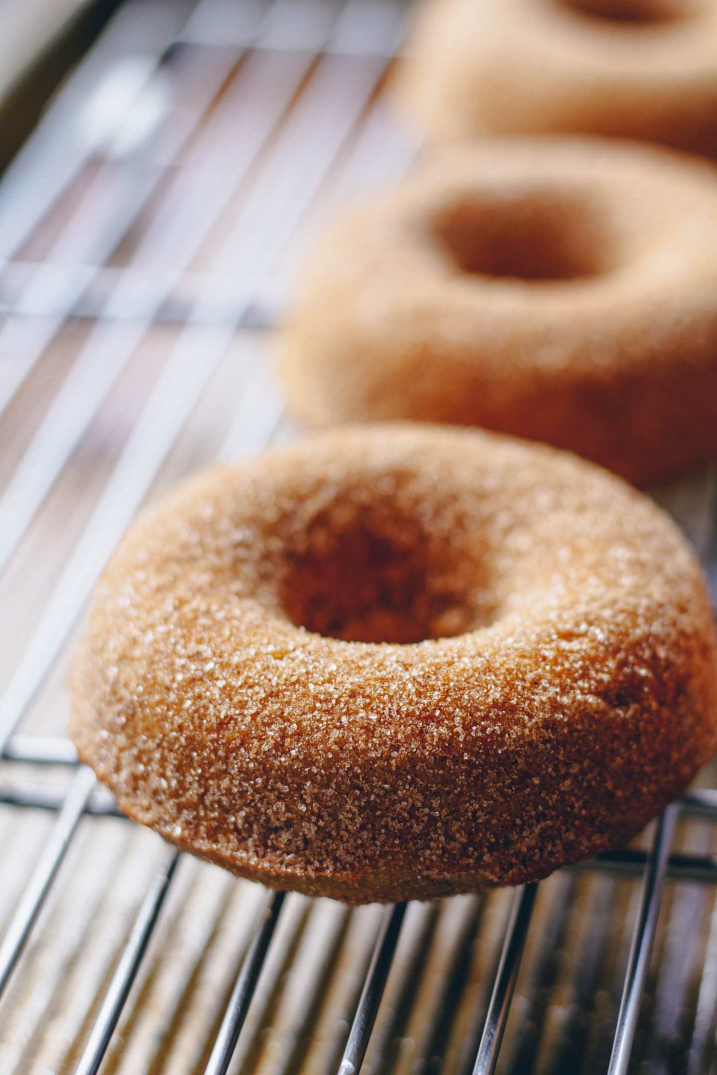 Vegan Gingerbread Baked Donuts