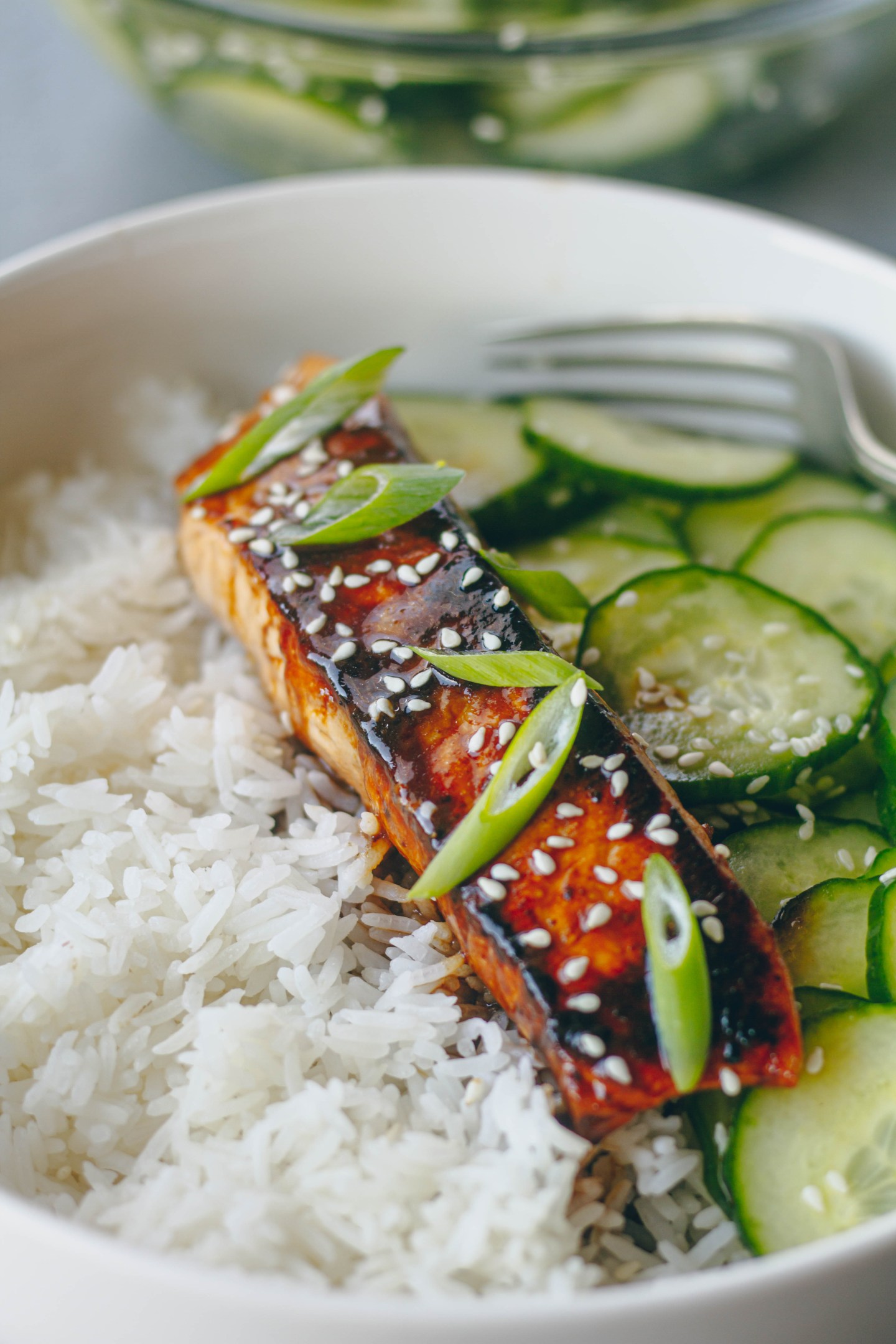 Easy and Delicious Teriyaki Salmon