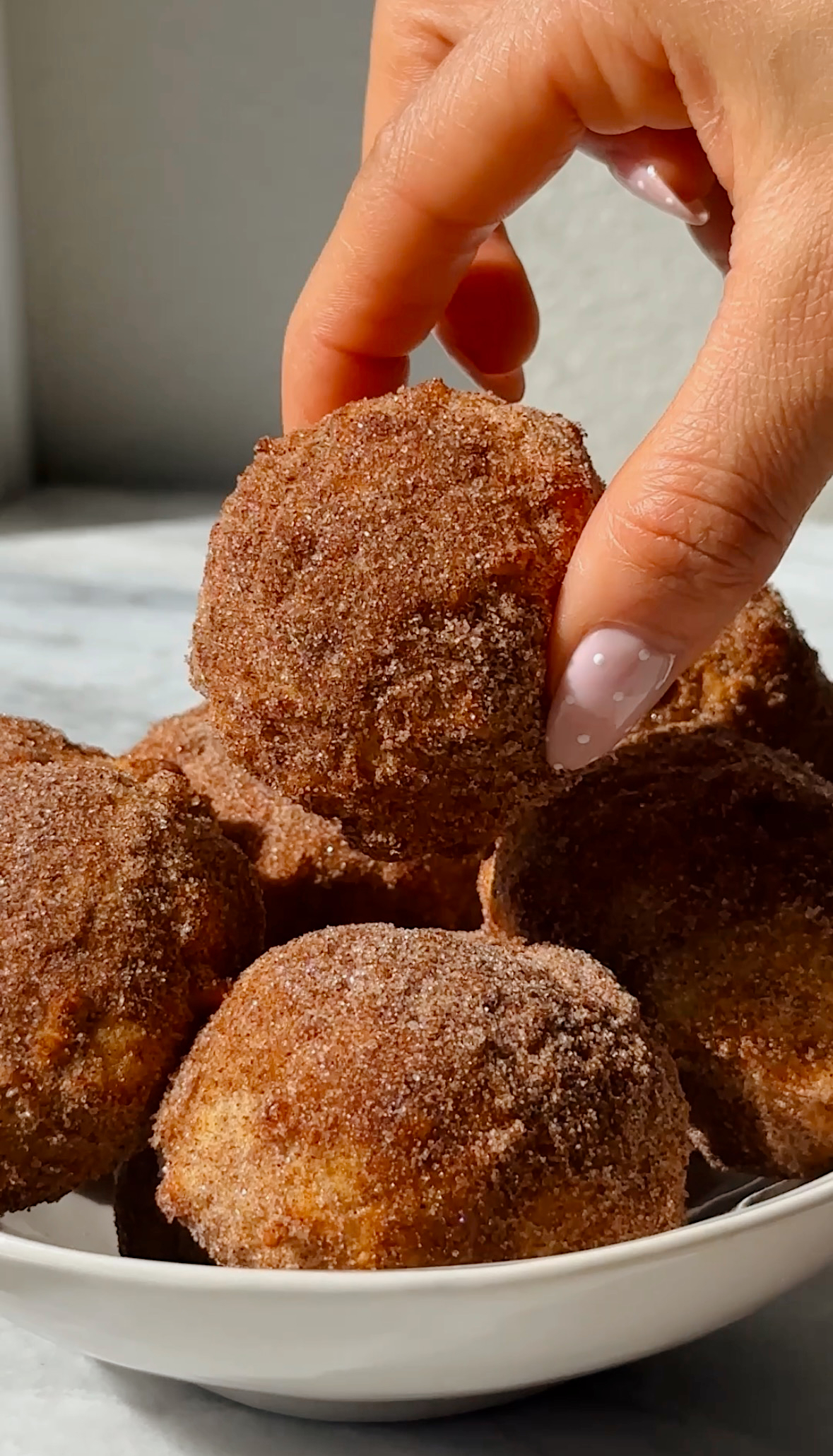 Snickerdoodle Cottage Cheese Donut Holes