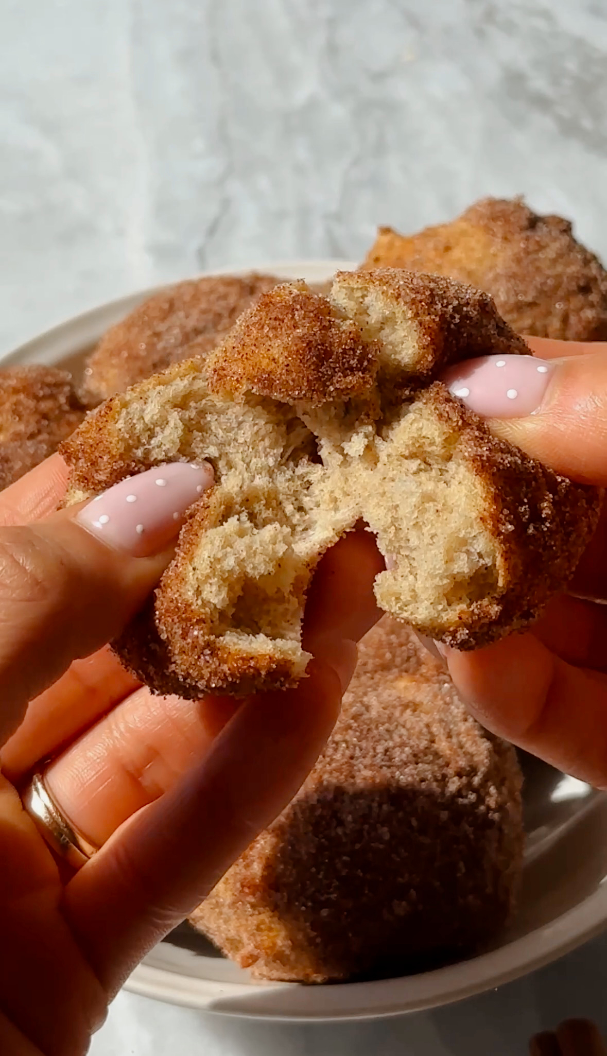 Snickerdoodle Cottage Cheese Donut Holes